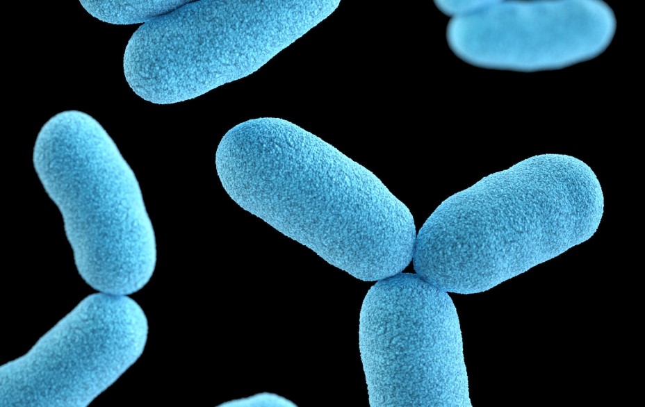 세균과 곰팡이가 가장 많은 우리 몸의 3가지 부위